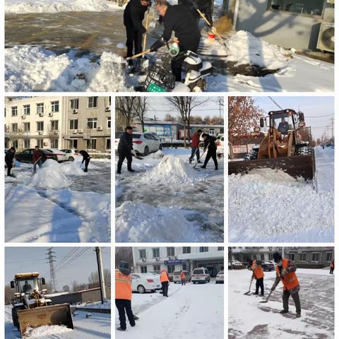 西葛镇组织开展扫雪除冰行动