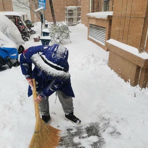 雪花如絮