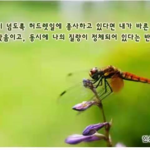 ☘️ 자식을 사랑한다면 ~ 2024.04 26