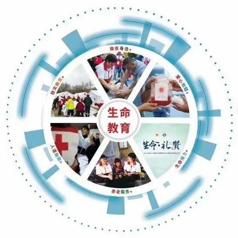 人道精神 生生不息﻿ 全州各级红会开展庆祝中国红十字会成立120周年暨第77个世界红十字日纪念活动