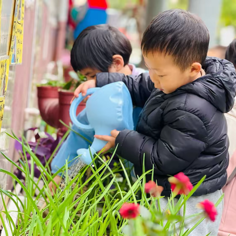 🐰天真烂漫 记录📸可爱 ‍—红黄蓝春晖附属幼儿园红二班—