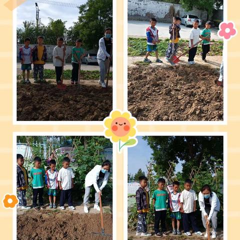 “蔬”香为伴，“菜”满校园