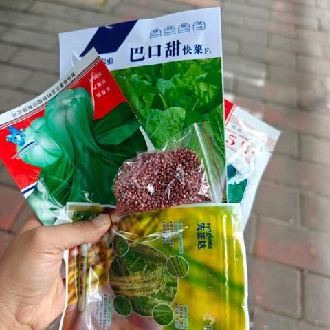 童真映沃土 ，笑语满田畦—汉丰四小2025级8班，品娃农场劳动实践活动