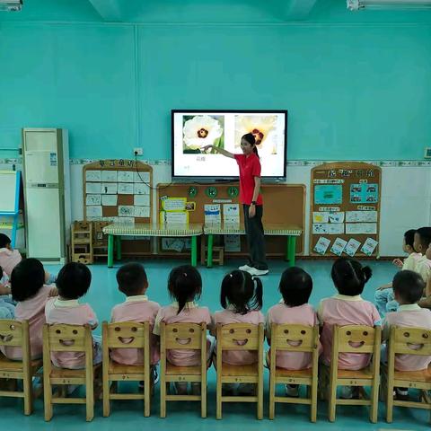 小班科学活动《秋葵花》