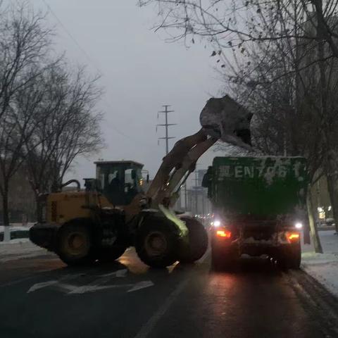 开发区清雪不打烊 彻夜除冰保通畅