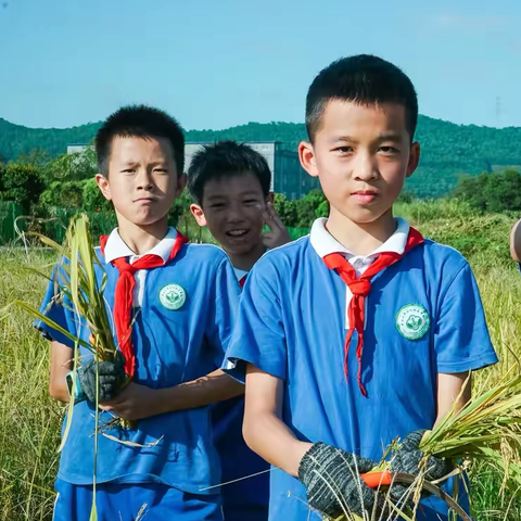沐浴秋风，乐享成长——中大附五年级第九周小记