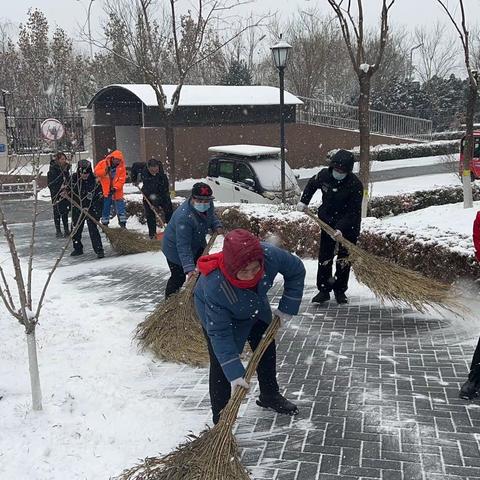 ❄️铲雪除冰❄️情暖紫运♥️暖心业主来扫雪👍齐心协力一家亲🏠♥️