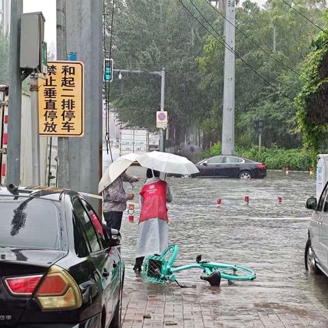 暴雨中书写“红色答卷”——北陵街道中海城南苑社区党委以坚守诠释初心