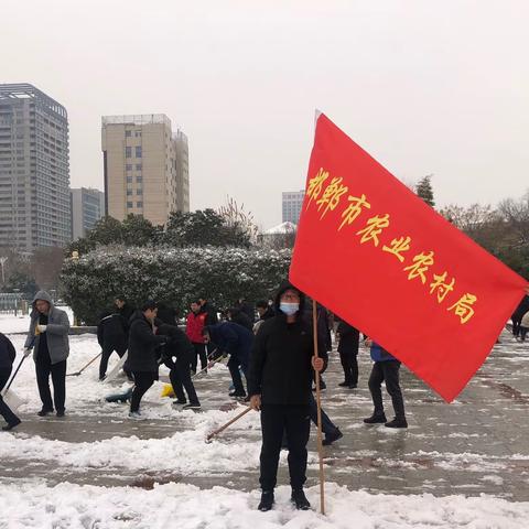 以“雪”为令 我为先锋 ——市农业农村局组织党员开展义务除雪和志愿帮扶活动