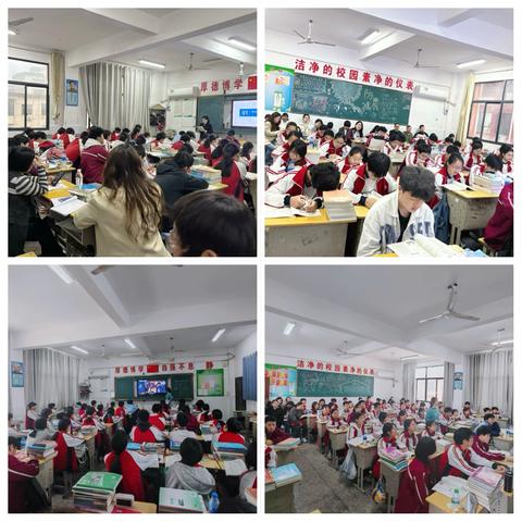 以研促教共成长 匠心打磨好课堂