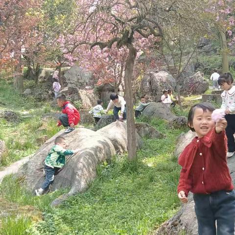 观文镇回龙幼儿园 ﻿第十三周带量食谱