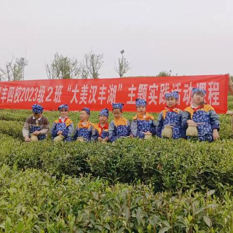 茶烟轻扬处，青春正当时——汉丰四校2023级2班“大美汉丰湖”主题实践活动