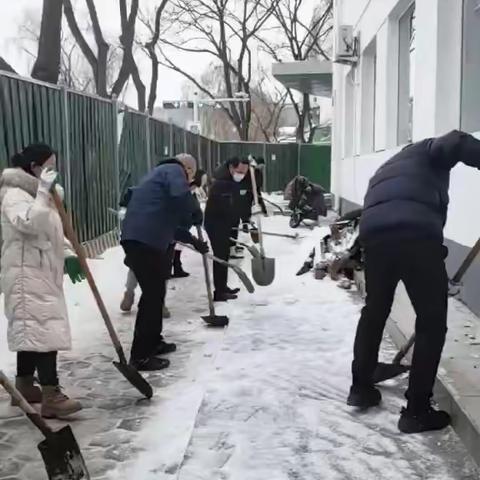 铲雪除冰   暖心行动