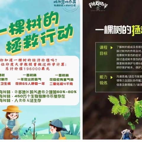 研学实践走进南开小学——《一棵树的拯救行动》