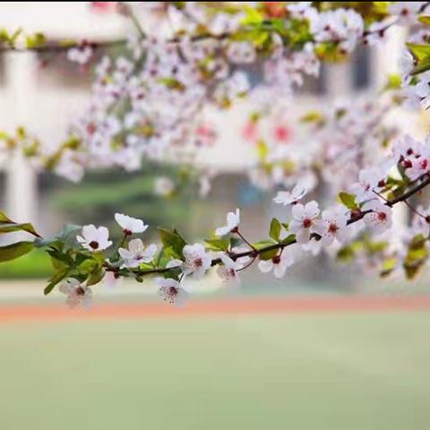 专家合璧 引领提升-西安市益新中学“三人行”名师大讲堂校本研修活动掠影