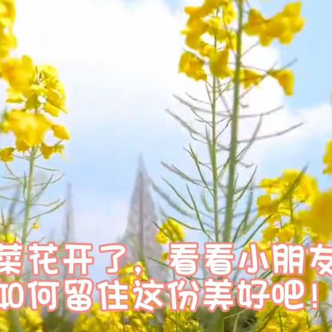 邹平市韩店镇中心幼儿园中五班生活化班本课程——《春天的颜色》