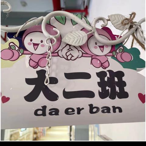 贵阳市乌当区下坝幼儿园  ‍大二班一周活动