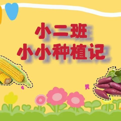 《小小种植记》——琼海市潭门镇中心幼儿园小二班