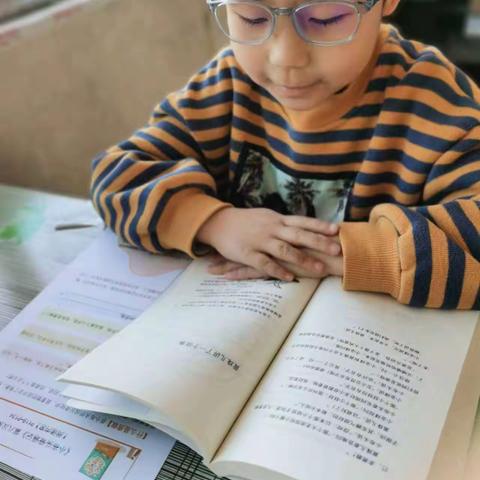 相约共读  悦读悦美  遇见最好的自己 凤矿小学303班李瑞炫 班班共读活动