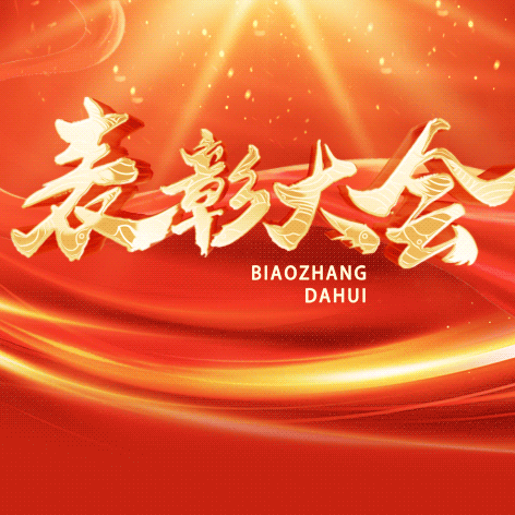 期中佳绩亮锋芒，表彰聚力再启航––成安七中初二年级期中考试学生表彰大会纪实