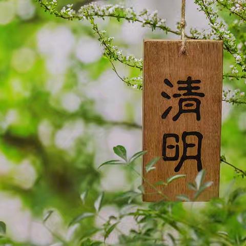 缅怀先烈志，童心祭清明——兴华镇南村小学开展清明节主题班会纪实