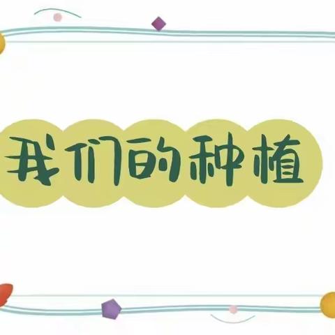 多肉种植记——沙沟镇中心幼儿园中班主题活动