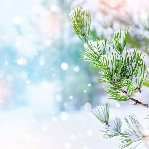 我和冬雪有个约会 ~相约在冬天