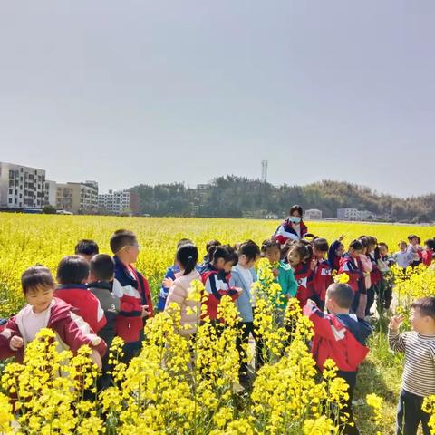 春日浪漫之旅～～【小精灵】“趣”赏油菜花开