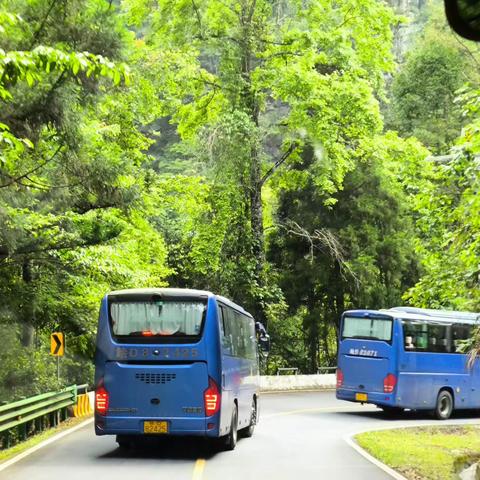 风景在路上 研途皆成长 —红色文化实践教学纪实