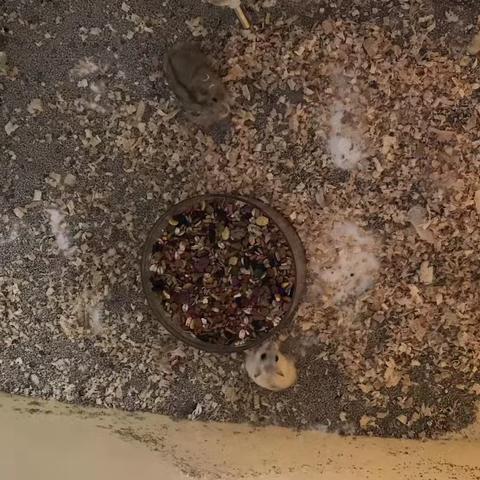 瑶的简篇