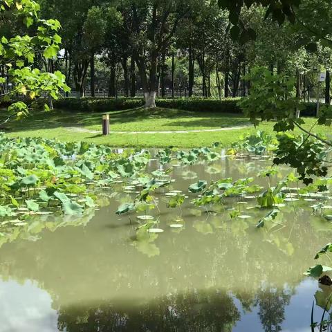 瑶的简篇