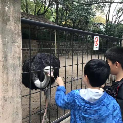 瑶的简篇
