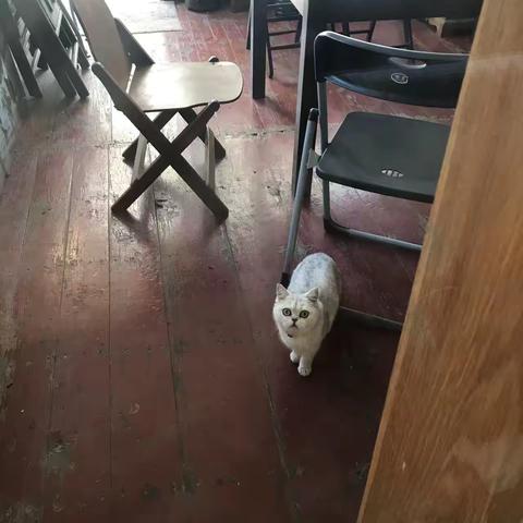 瑶的简篇