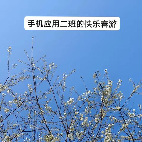 春有约，我不负