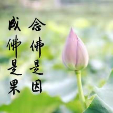 阿弥陀佛，您怎么现在才来？