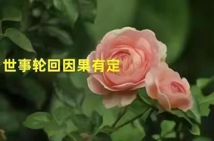 人身难得，佛法难闻