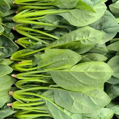 鲜百汇生鲜超市：特惠福利来啦！！！ 活动时间：2026.1.3-5