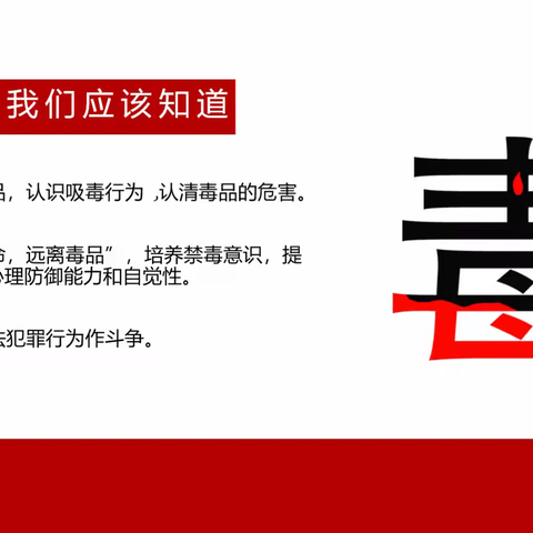 【反洗钱宣传】（2024年第12期）远离毒品，珍惜生命——关爱青少年健康成长！