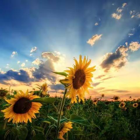 养老的路上，就是好好保养自己