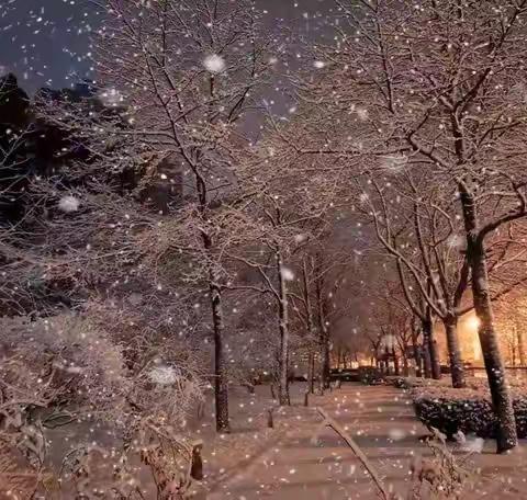 用户18947890的简篇