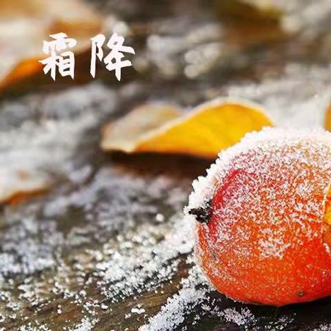 霜叶红于二月花 霜降时节品秋韵 ﻿