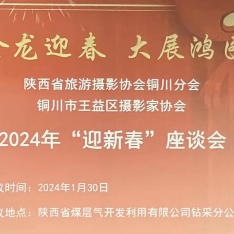 金龍迎春大展鴻圖