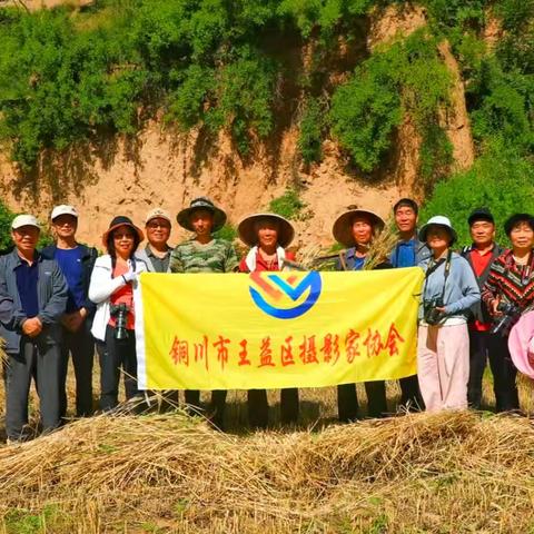 王益摄协夏收采风