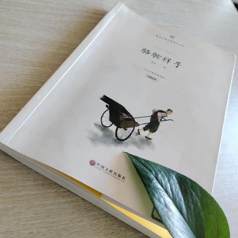 《骆驼祥子》节选