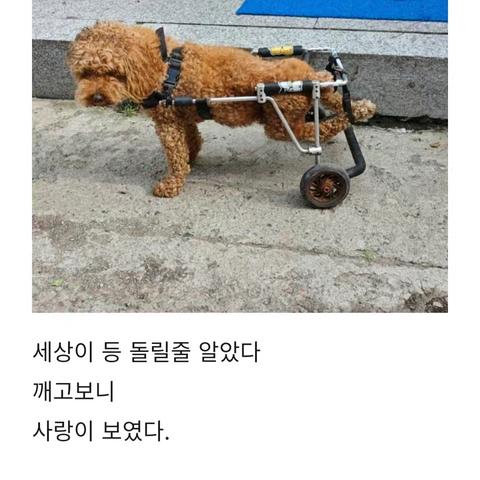 해라니的简篇