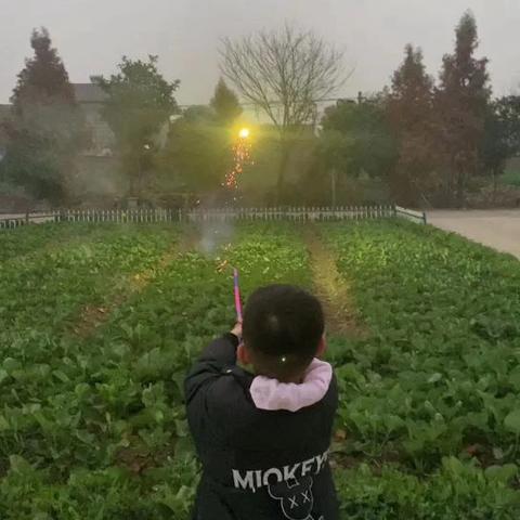 湾甸子镇中心小学的简篇
