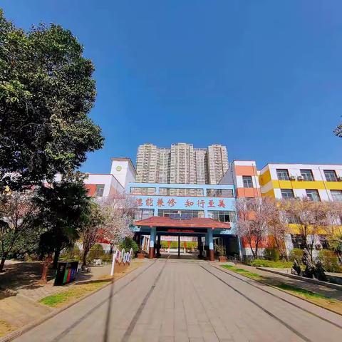 共美课堂 五育共融｜教研深耕 育梦前行——洛阳理工学院附属小学教研篇