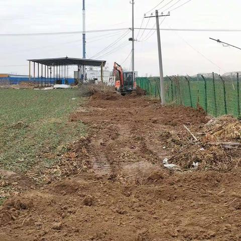 王店街道：持续开展人居环境大提升专项行动