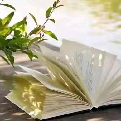 郑州市第二初级中学 八八班读书打卡