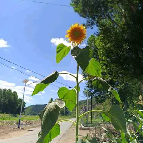 【相遇•盛夏】